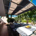 Apartments Zaton Zaton (Zadar)