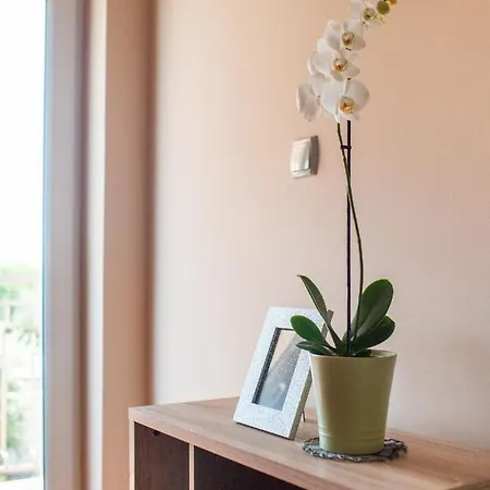 Apartments Zaton 자톤