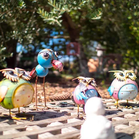 Apartments Zaton Zaton (Zadar)