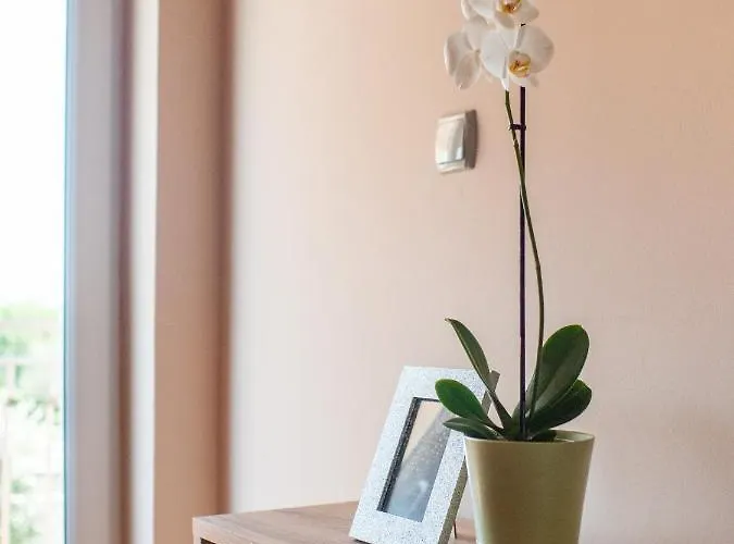 Apartments Zaton Zaton (Zadar)